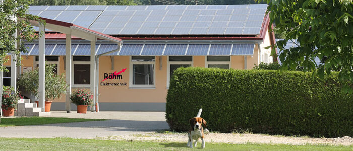 Kleiner Hund läuft vor Geschäftsgebäude von Röhm Elektrotechnik